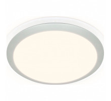 Накладной светильник Ambrella Light FF FF49