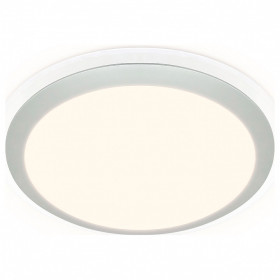 Накладной светильник Ambrella Light FF FF49