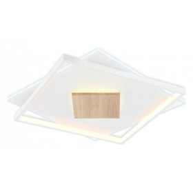 Накладной светильник Ambrella Light FL FL4790