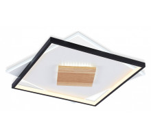 Накладной светильник Ambrella Light FL FL4791