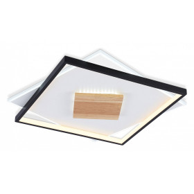 Накладной светильник Ambrella Light FL FL4791