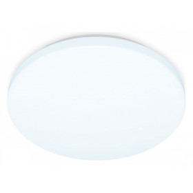 Накладной светильник Ambrella Light FZ FZ1009