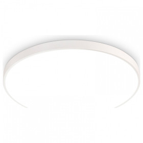 Накладной светильник Ambrella Light FZ FZ1200