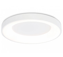 Накладной светильник Ambrella Light FZ FZ1401