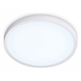 Накладной светильник Ambrella Light FZ FZ1951