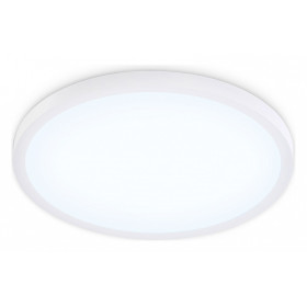 Накладной светильник Ambrella Light FZ FZ1955