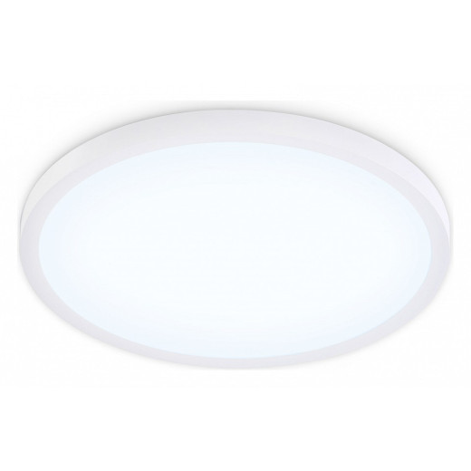 Накладной светильник Ambrella Light FZ FZ1955