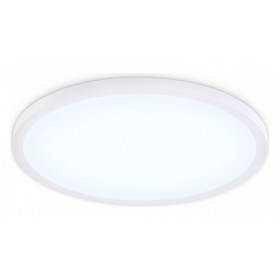 Накладной светильник Ambrella Light FZ FZ1959