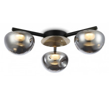 Потолочная люстра Ambrella Light LH LH12006