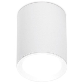 Накладной светильник Ambrella Light TN TN215