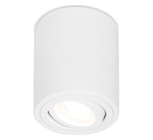 Накладной светильник Ambrella Light TN TN225