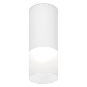 Накладной светильник Ambrella Light TN TN230