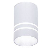 Накладной светильник Ambrella Light TN TN236