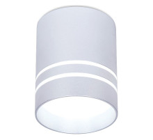 Накладной светильник Ambrella Light TN TN241