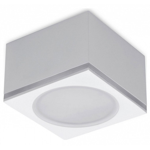 Накладной светильник Ambrella Light TN TN266