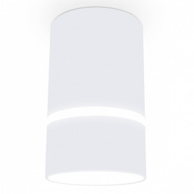 Накладной светильник Ambrella Light TN TN3411