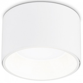 Накладной светильник Ambrella Light TN TN52892