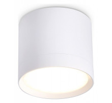 Накладной светильник Ambrella Light TN TN5350