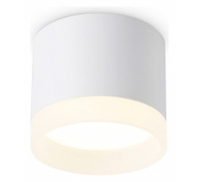 Накладной светильник Ambrella Light TN TN5365