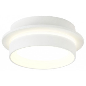 Накладной светильник Ambrella Light TN TN5383