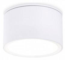 Накладной светильник Ambrella Light TN TN6522