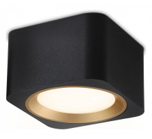 Накладной светильник Ambrella Light TN TN70832