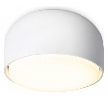 Накладной светильник Ambrella Light TN TN71001