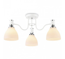 Потолочная люстра Ambrella Light TR TR303302