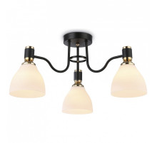 Потолочная люстра Ambrella Light TR TR303303