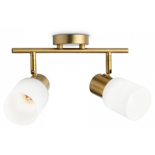 Спот Ambrella Light TR TR3969