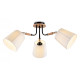 Потолочная люстра Ambrella Light TR TR4731