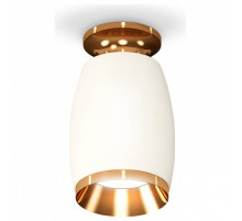 Накладной светильник Ambrella Light XS XS1122044
