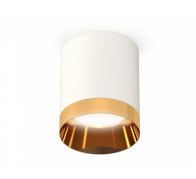 Накладной светильник Ambrella Light XS XS6301024