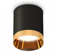 Накладной светильник Ambrella Light XS XS6302024