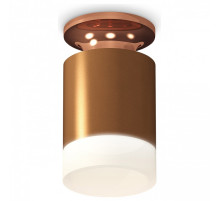 Накладной светильник Ambrella Light XS XS6304153