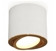 Накладной светильник Ambrella Light XS XS7401004