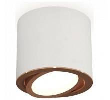 Накладной светильник Ambrella Light XS XS7401005