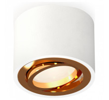 Накладной светильник Ambrella Light XS XS7510004