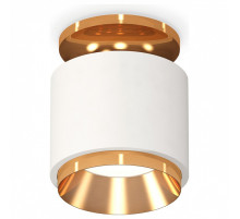 Накладной светильник Ambrella Light XS XS7510120