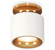 Накладной светильник Ambrella Light XS XS7510121