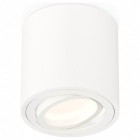 Накладной светильник Ambrella Light XS XS7531001