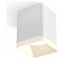 Накладной светильник Ambrella Light XS XS7812021