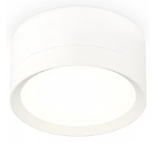Накладной светильник Ambrella Light XS XS8101001