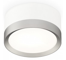 Накладной светильник Ambrella Light XS XS8101004