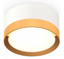 Накладной светильник Ambrella Light XS XS8101005