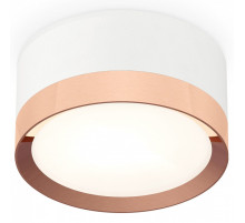 Накладной светильник Ambrella Light XS XS8101006