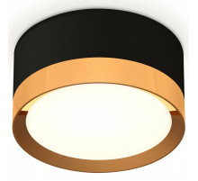 Накладной светильник Ambrella Light XS XS8102004