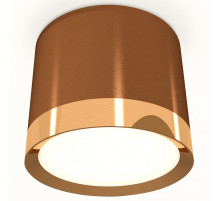 Накладной светильник Ambrella Light XS XS8117001