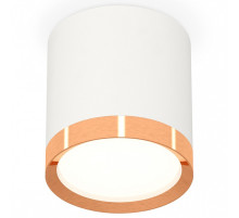 Накладной светильник Ambrella Light XS XS8141005