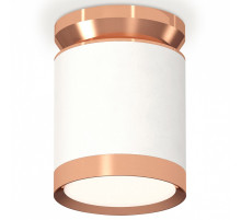 Накладной светильник Ambrella Light XS XS8141035